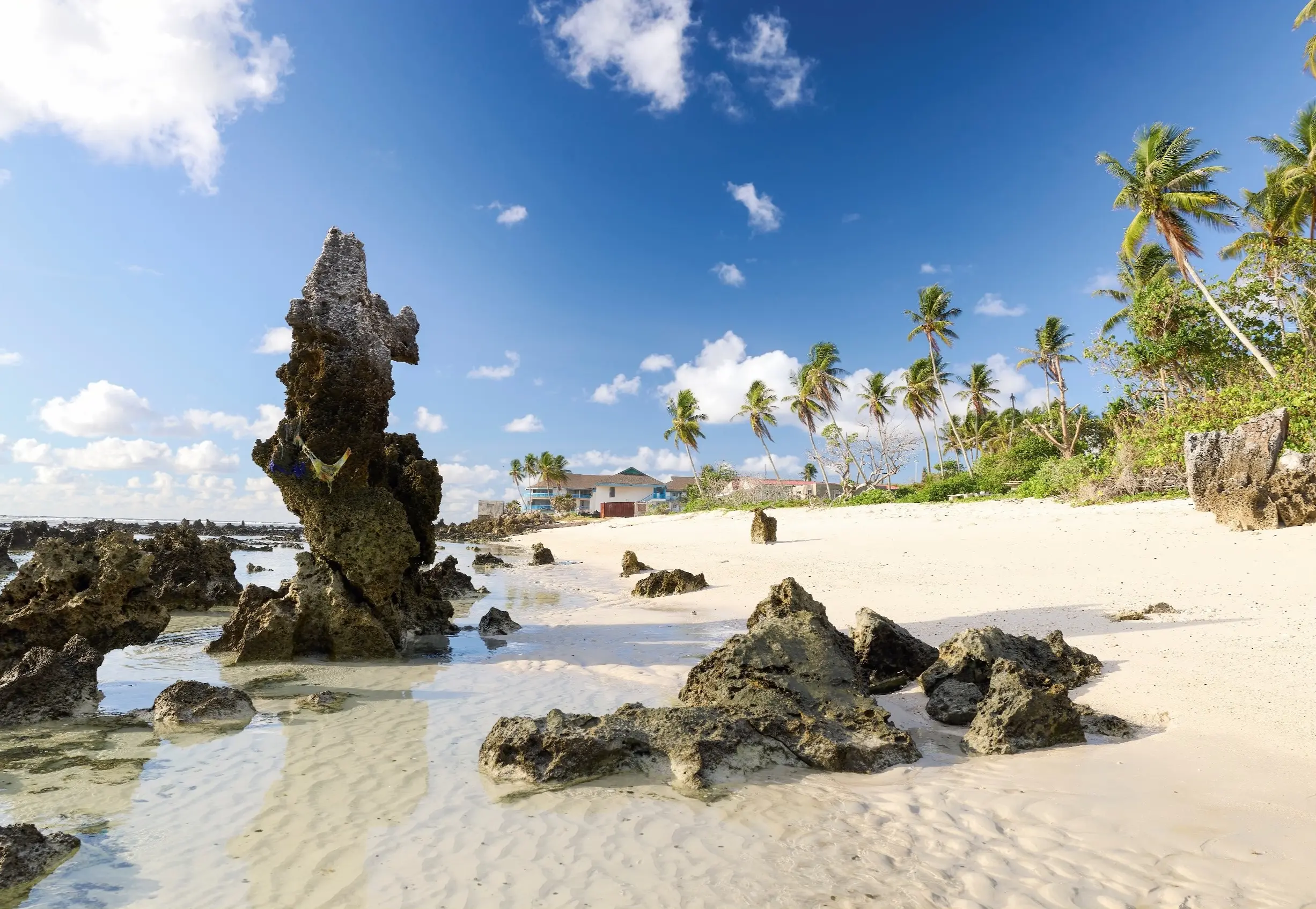 Nauru beach with distinctive coral rock formations, white sand and palm trees — Republic of Nauru, central Pacific